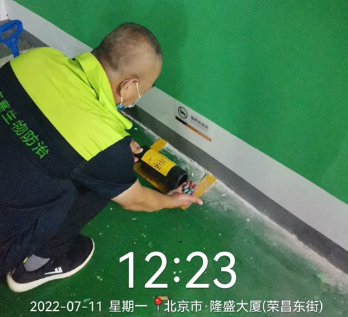 北京灭蚊蝇最有效的方法是什么？北京消杀公司教你怎么做！