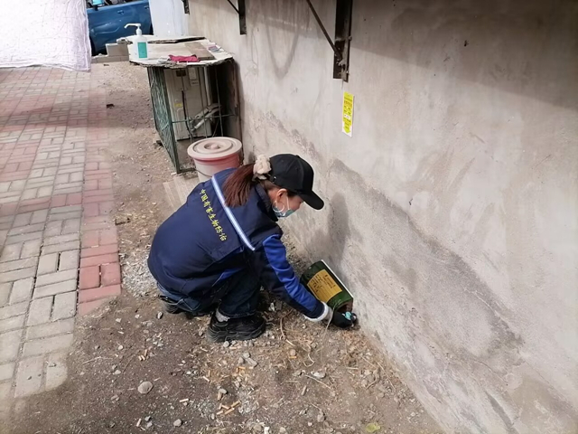 通州家庭灭蟑公司包含什么服务