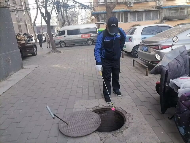 北京灭鼠公司上门灭鼠服务（口碑好的灭蚂蚁解决方案）