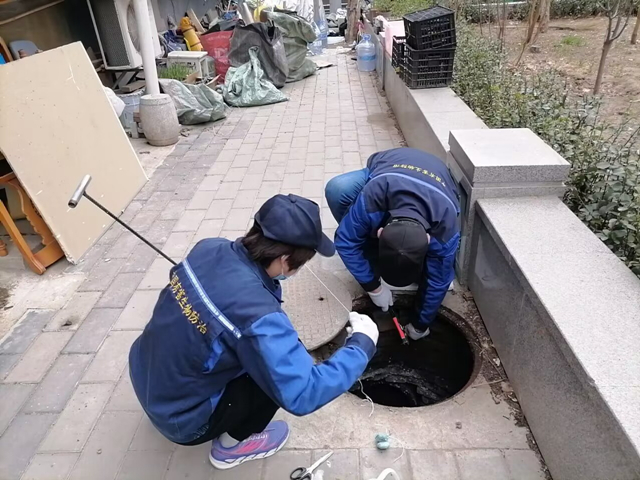 北京有专门灭蚂蚁的公司吗（治白蚁最简单的方法）