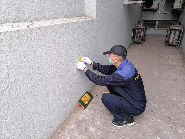 北京灭鼠杀虫服务包含什么