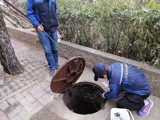 北京附近消杀公司（卫士康消杀公司服务介绍）