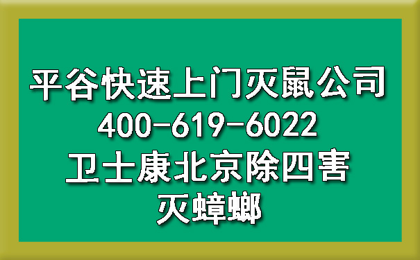 平谷快速上门灭鼠公司400-619-6022卫士康北京除四害灭蟑螂