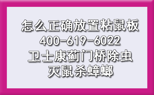 怎么正确放置粘鼠板400-619-6022卫士康蓟门桥除虫灭鼠杀蟑螂