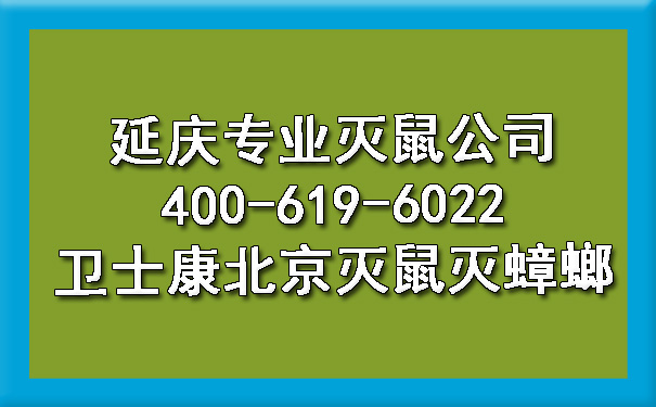 延庆专业灭鼠公司400-619-6022卫士康北京灭鼠灭蟑螂