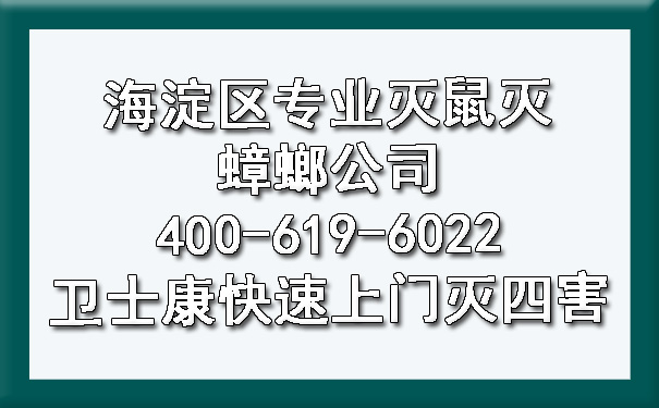 海淀区专业灭鼠灭蟑螂公司400-619-6022卫士康快速上门灭四害