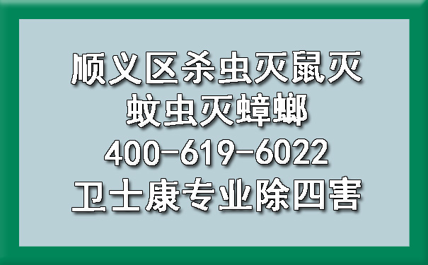 顺义区杀虫灭鼠灭蚊虫灭蟑螂400-619-6022卫士康专业除四害