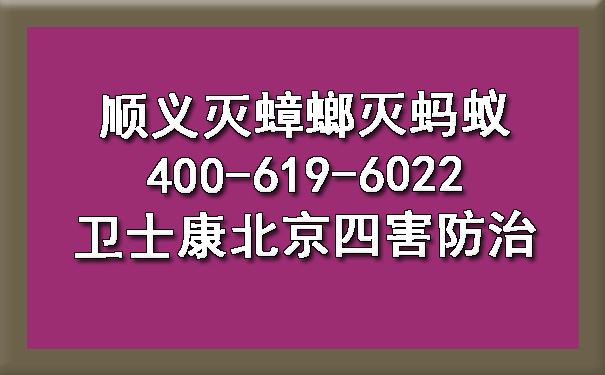 顺义灭蟑螂灭蚂蚁400-619-6022卫士康北京四害防治